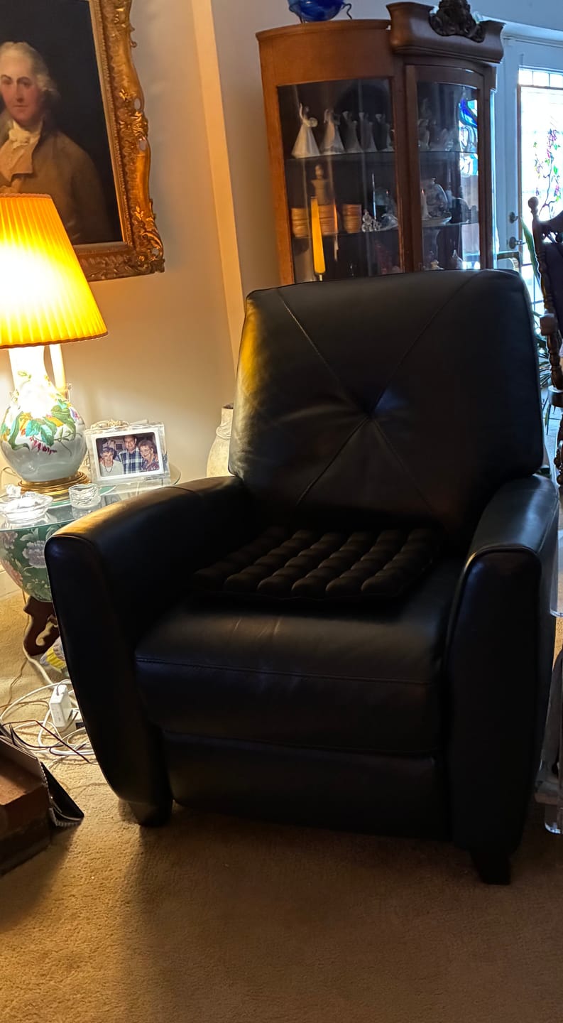 Customer photo review of Travel Cushion