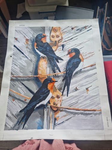 Customer photo review of Welcome Swallows, Door