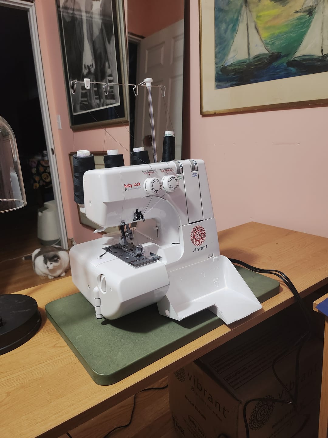 Customer photo review of Baby Lock Vibrant Serger with FREE Bundle