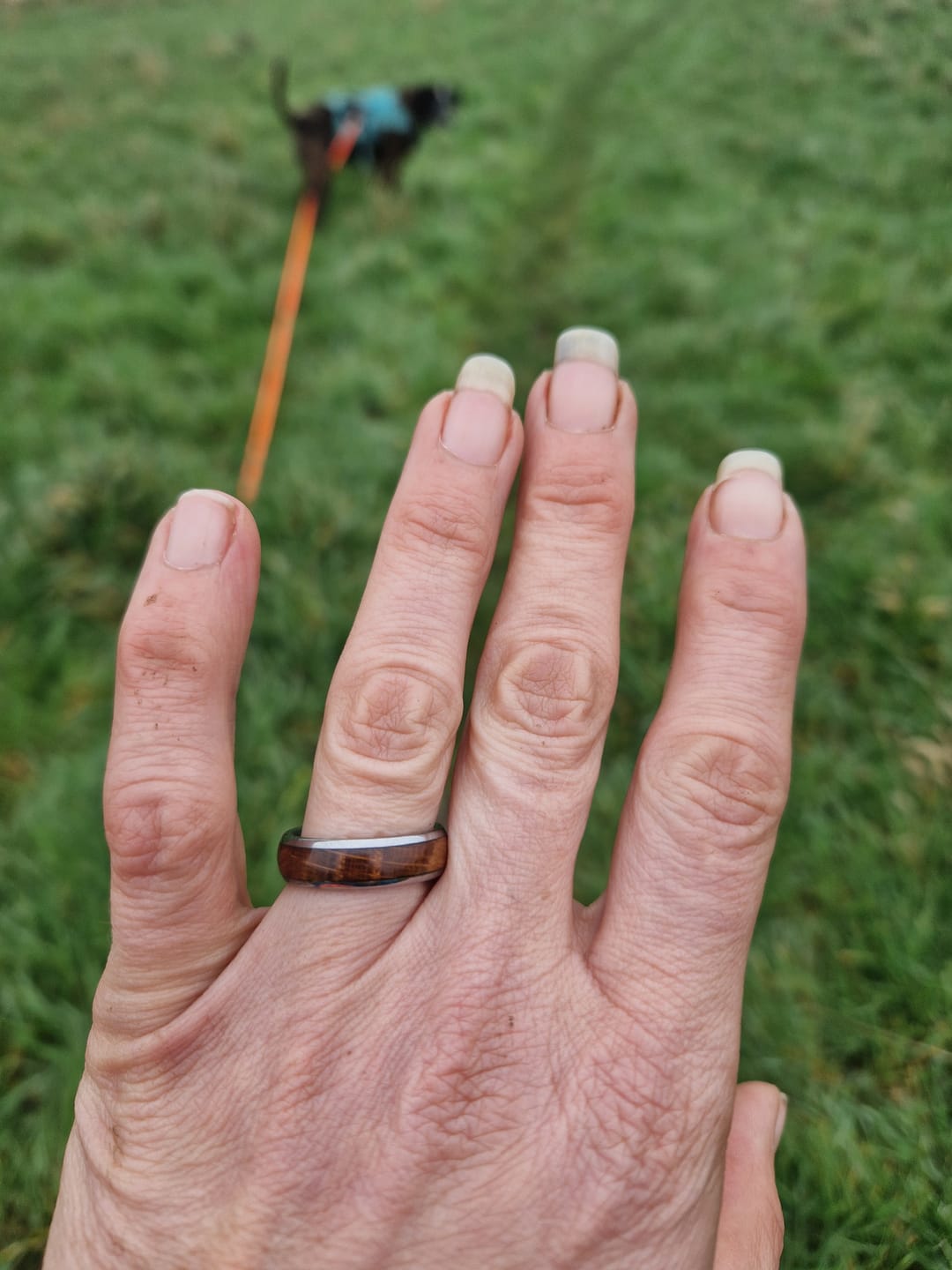 Customer photo review of The Barrelwood 6mm Wonder Ring