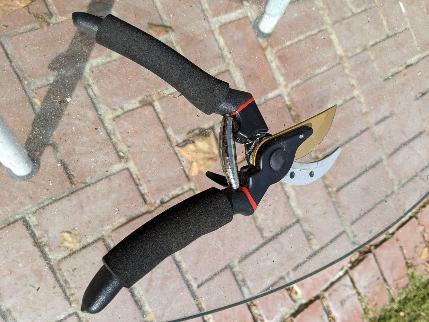 Customer photo review of Profi Bypass-Gartenschere 21,5 cm – Scharfe Klinge & Ergonomisch