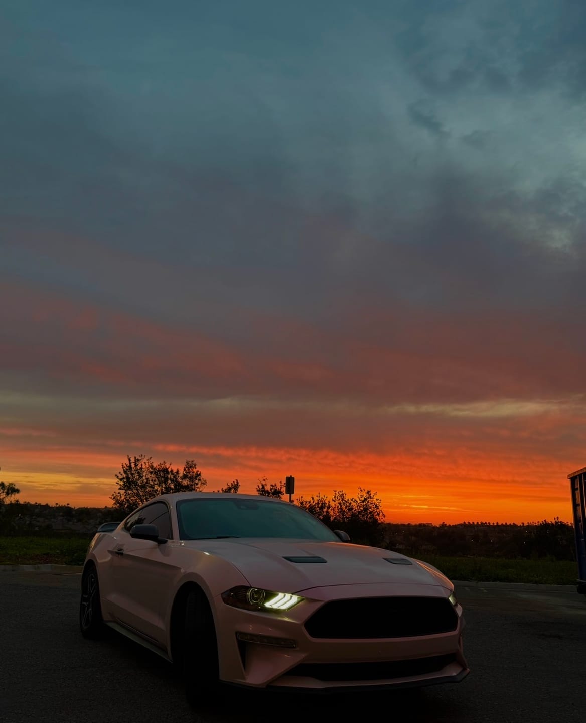 Customer photo review of Candy Metallic Pink White Vinyl Wrap