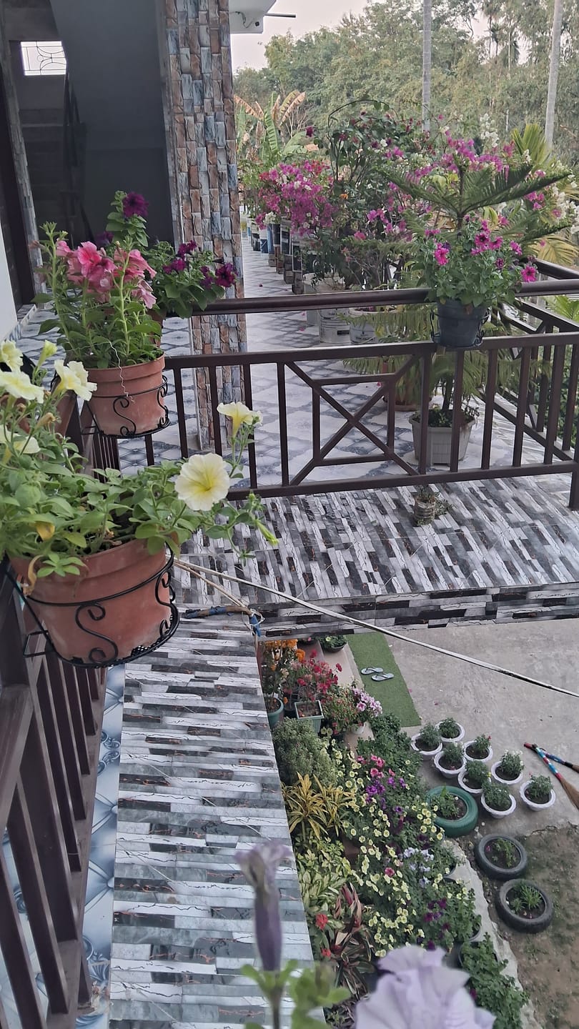 Customer photo review of TryGreen – Owra Metal Railing Stand for Balcony & Railing Decor