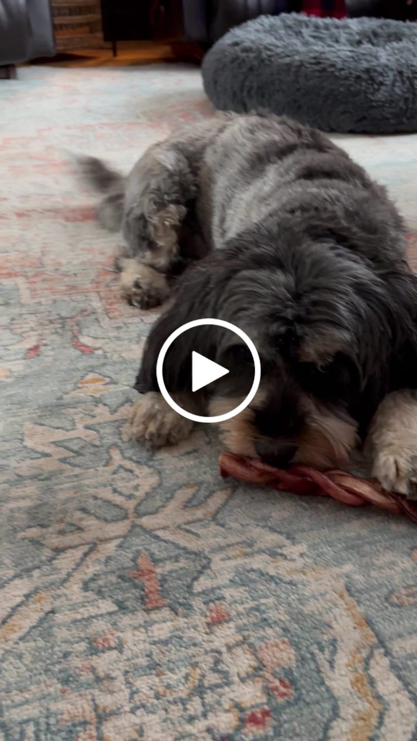 Customer video review of 12 Inch Standard Braided Bully Stick