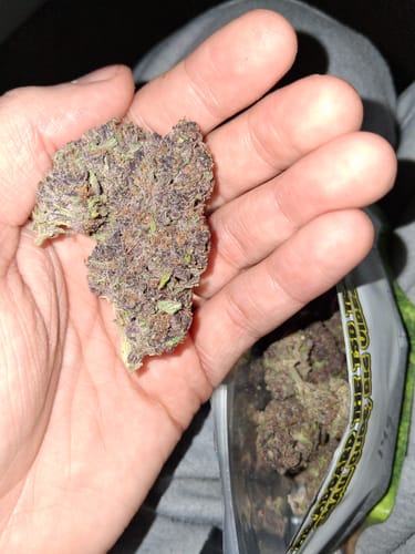 Customer photo review of Tropicana Cherry THCA Flower