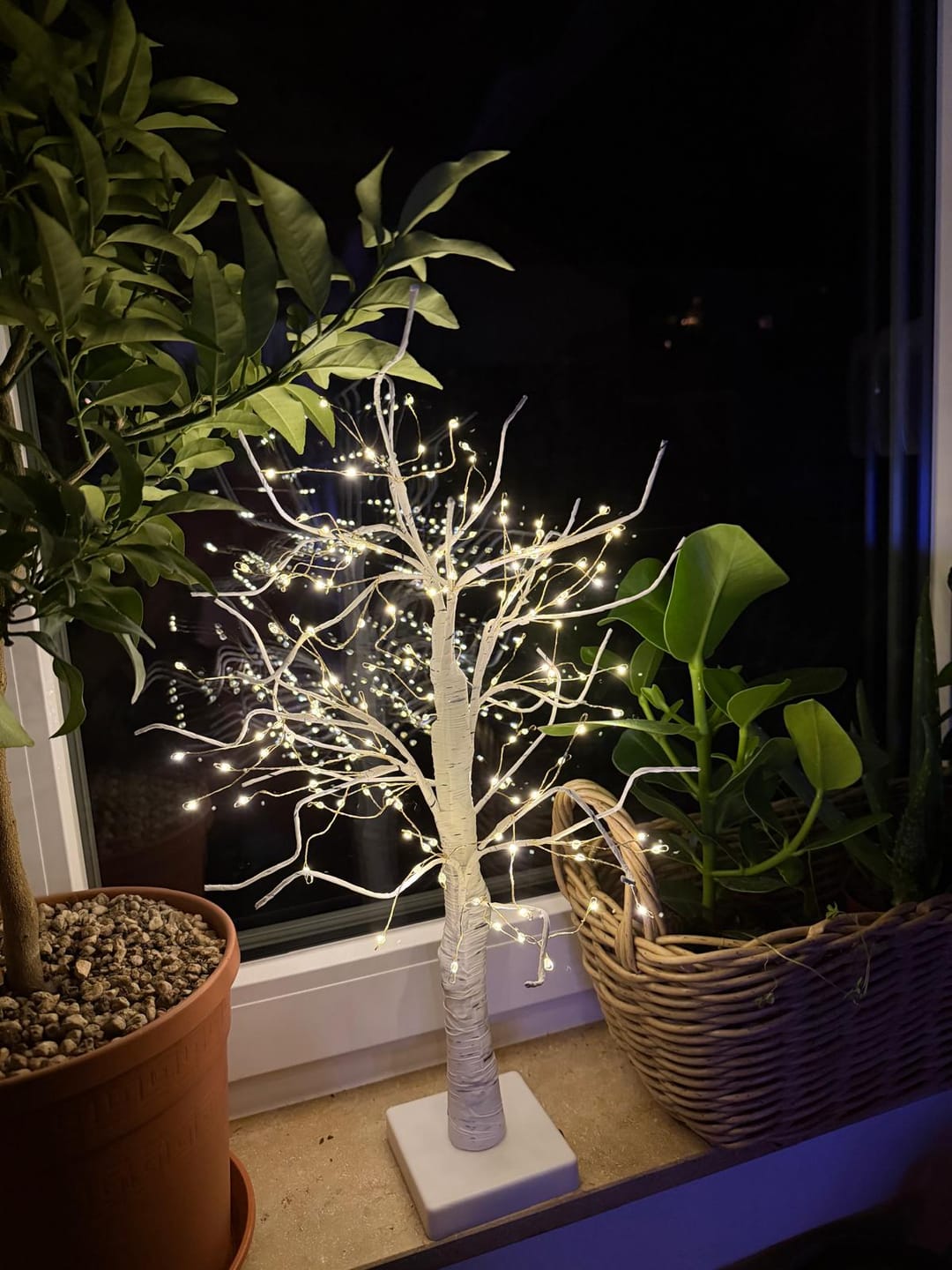 Customer photo review of Bäumlein® - 144 LEDs (Winter Edition)