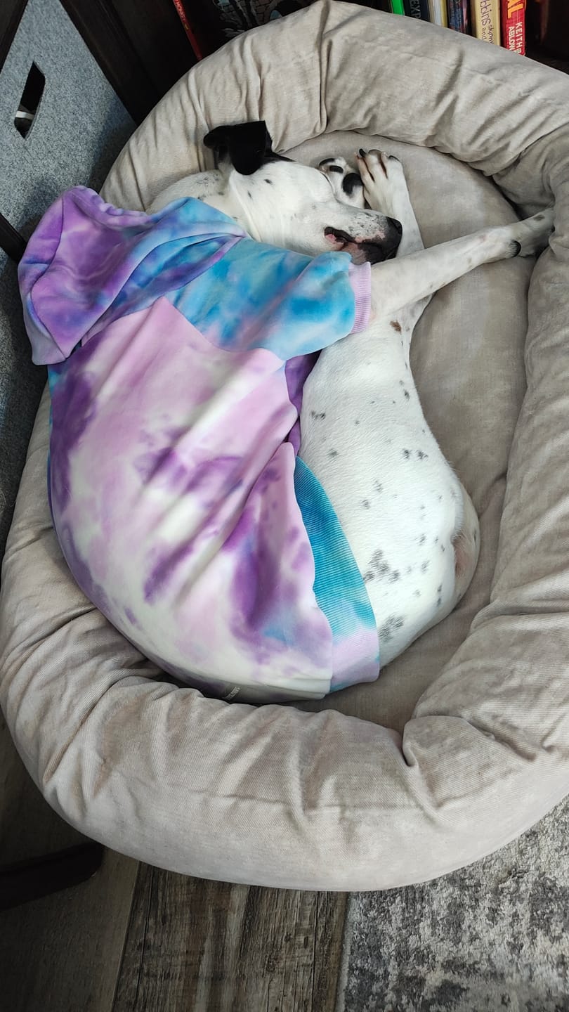 Customer photo review of Velvet Dog Hoodie - 90s Retro