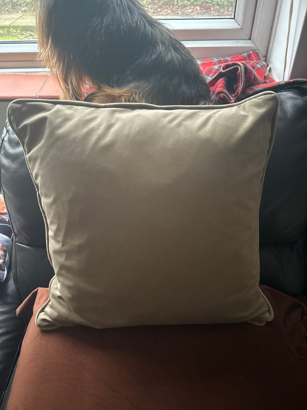 Customer photo review of Plain Upholstery Velvet Fabric