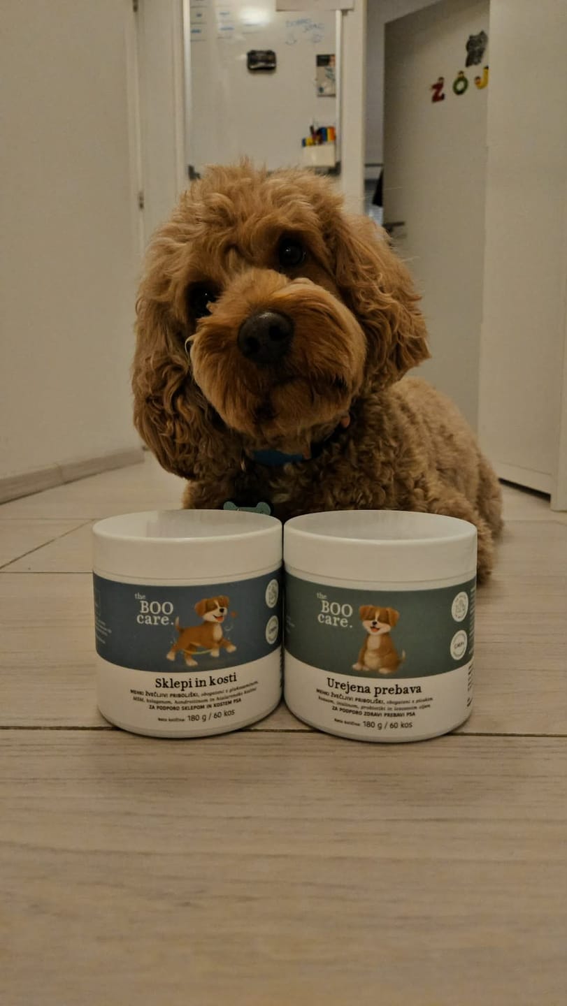 Customer photo review of Sklepi in kosti
