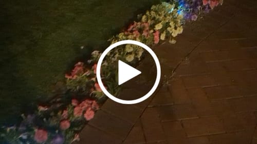 Customer video review of GardenBrite™ Solar LED Wall Lights