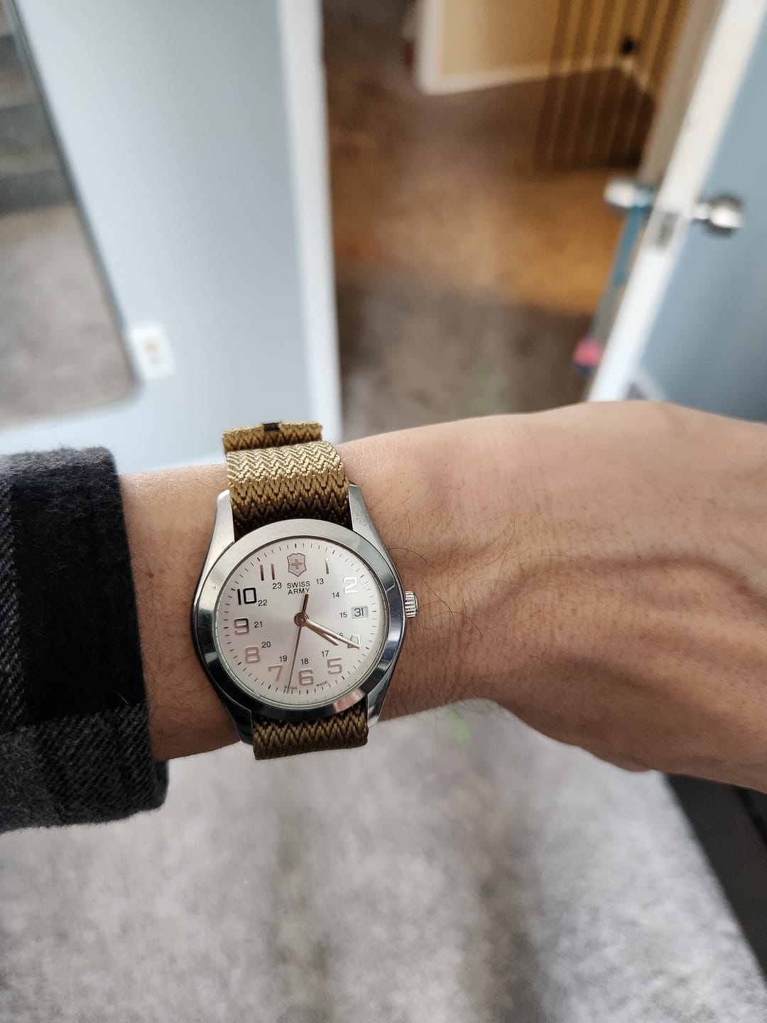 Customer photo review of SharkFin - Graham Cracker
