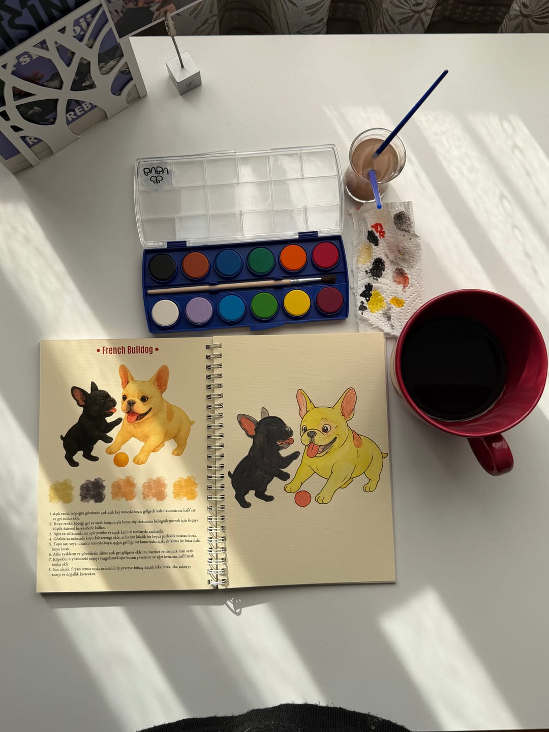 Customer photo review of Rehberli Sulu Boya Boyama Kitapları