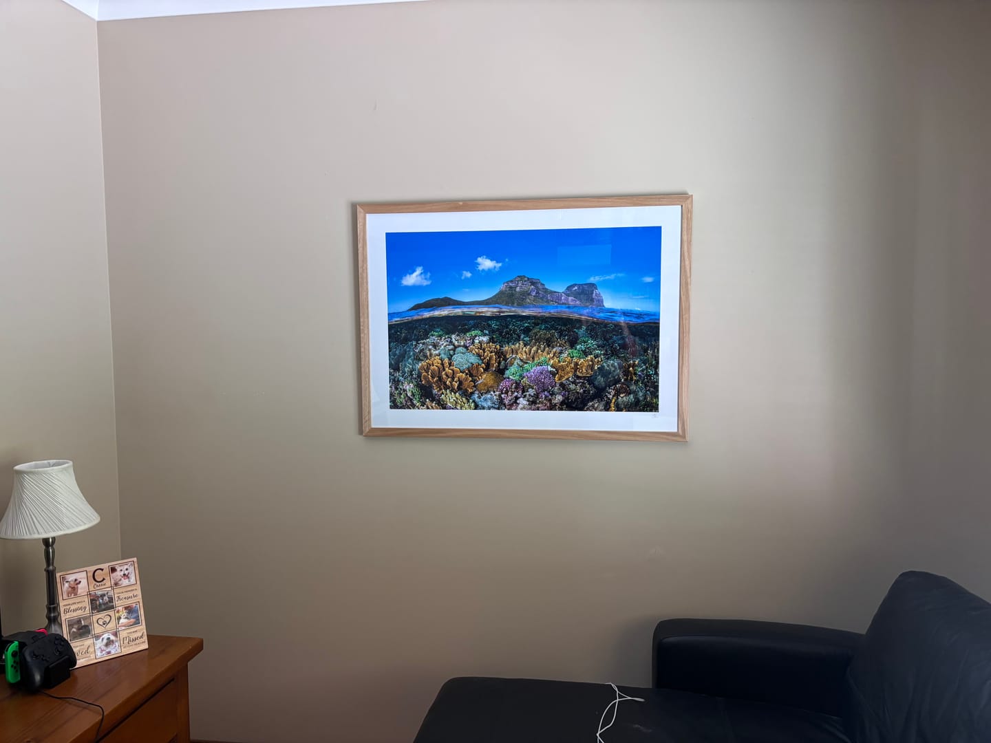 Customer photo review of Coral Gardens | Lord Howe Island