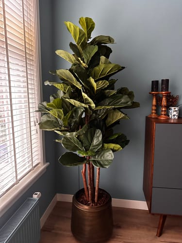 Customer photo review of Ficus Kunstplant 180cm