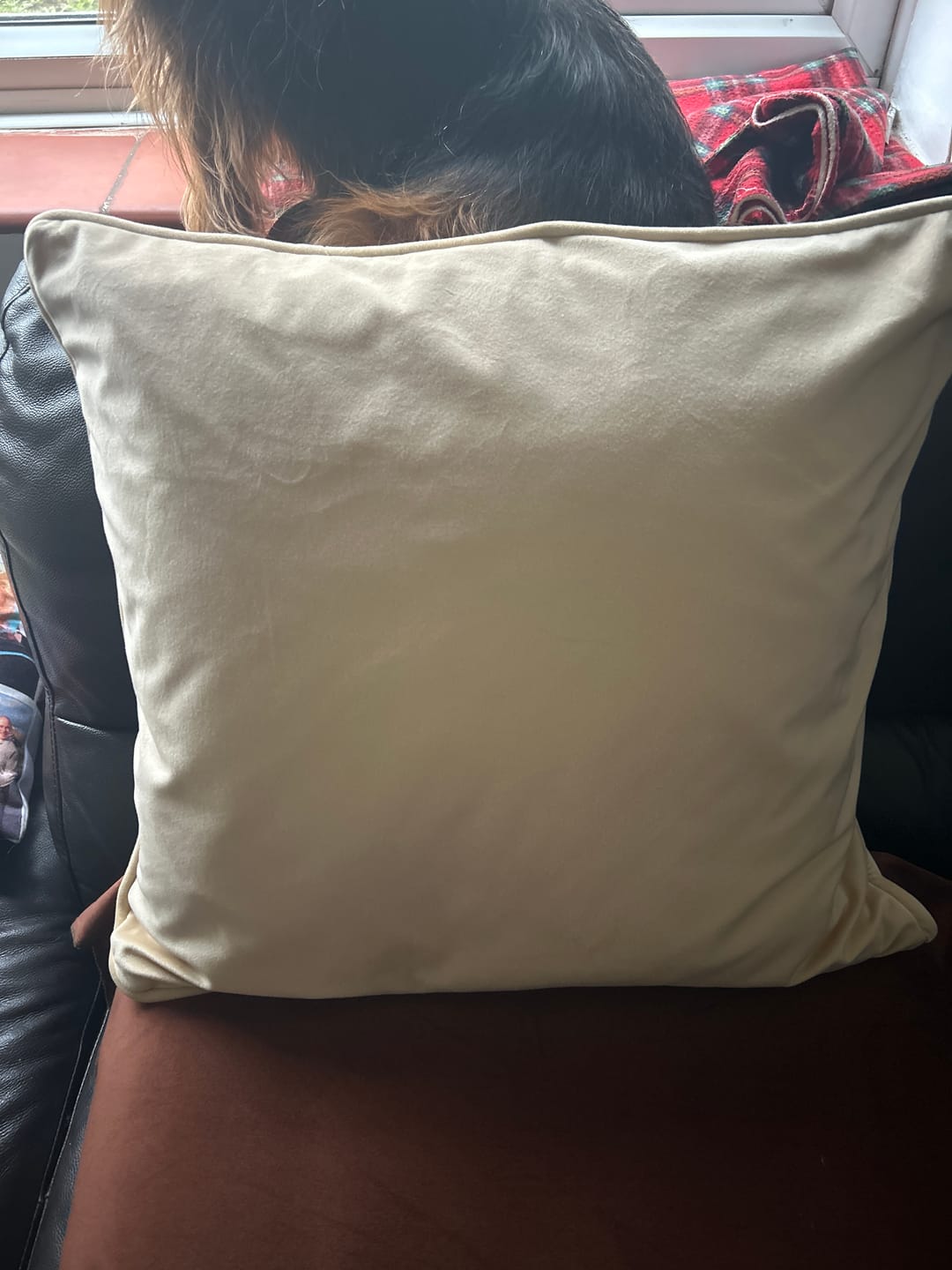 Customer photo review of Plain Upholstery Velvet Fabric