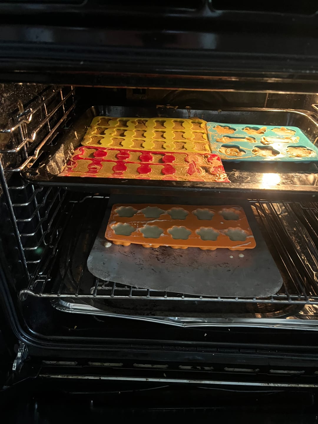 Customer photo review of BoneItUp® Homemade Dog Treats Kit