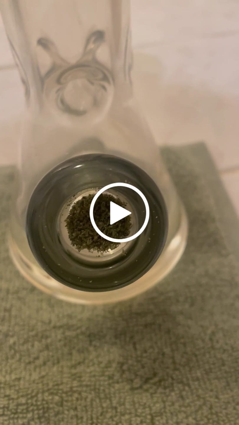 Customer video review of Purple Push Pop -THCa Flower