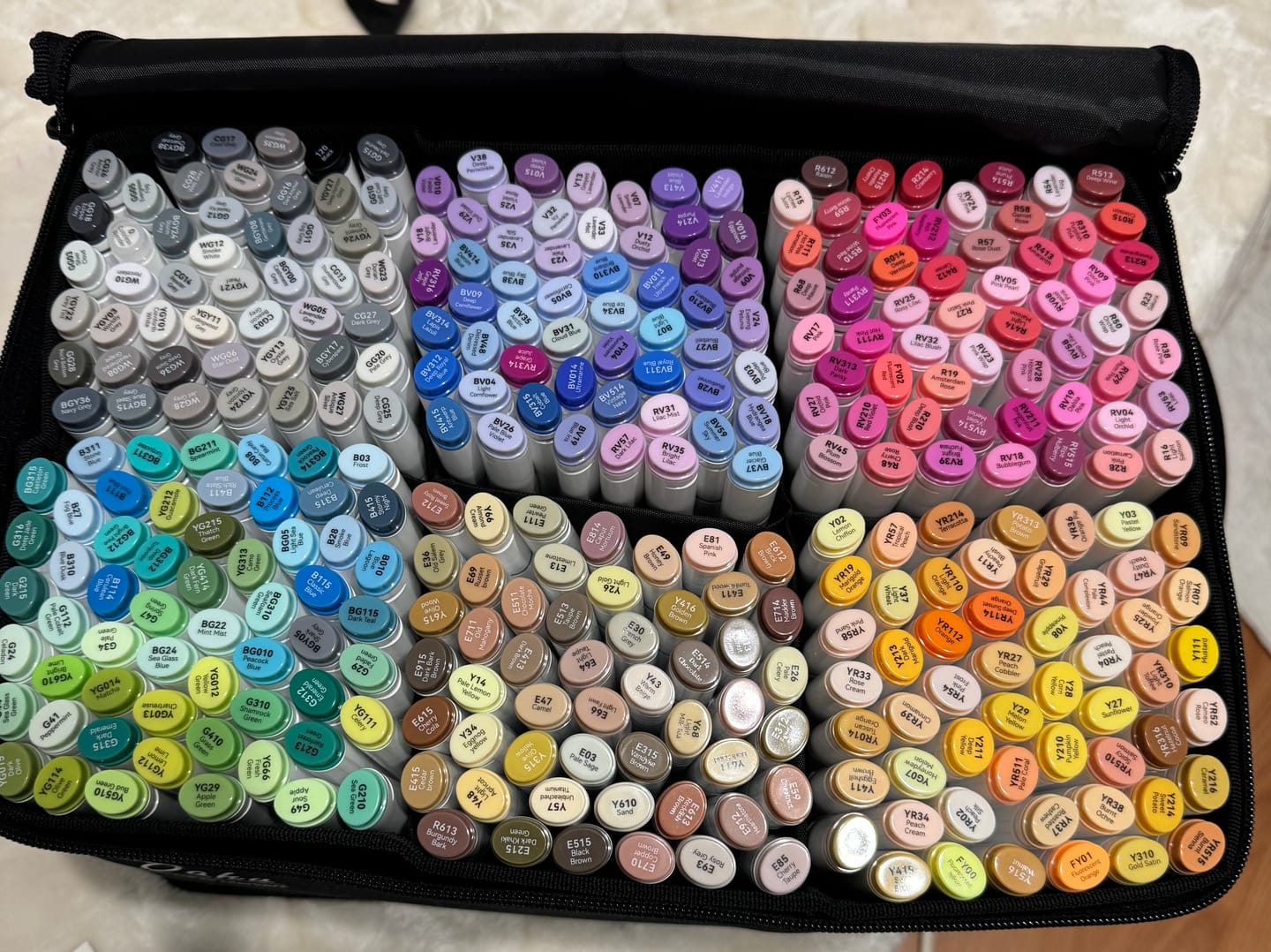 Customer photo review of Ohuhu Oahu 320 Colors Dual Tips Alcohol Art Markers, Fine & Chisel (New Color Codes)