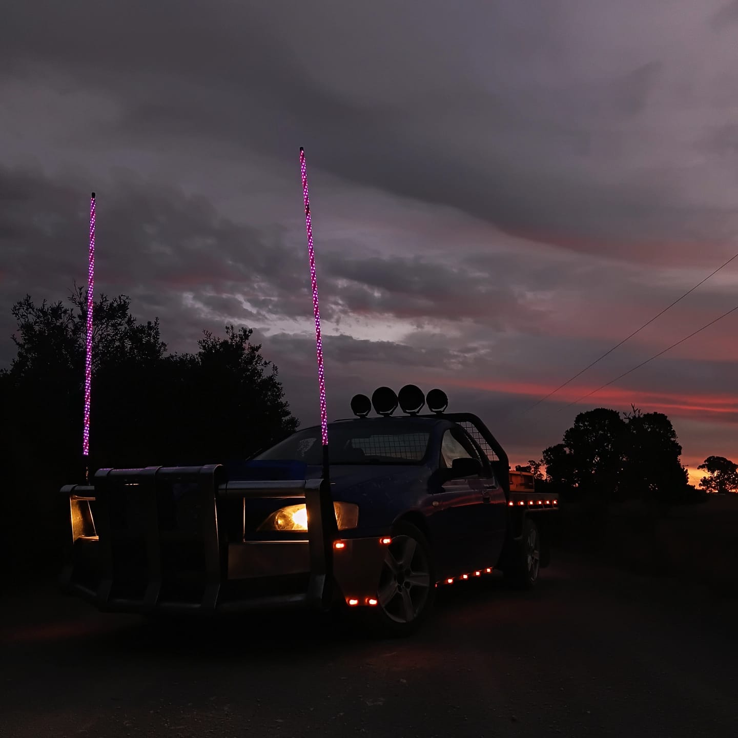 Customer photo review of 6ft LED Whip Lights