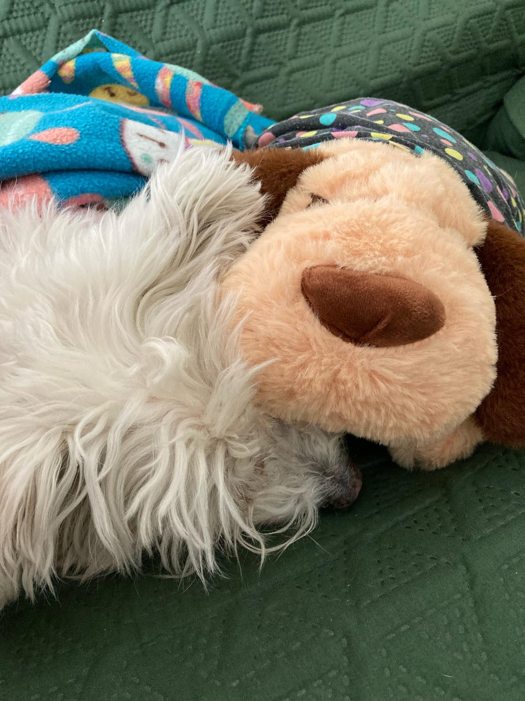 Customer photo review of Peluche Antiestrés para Mascotas