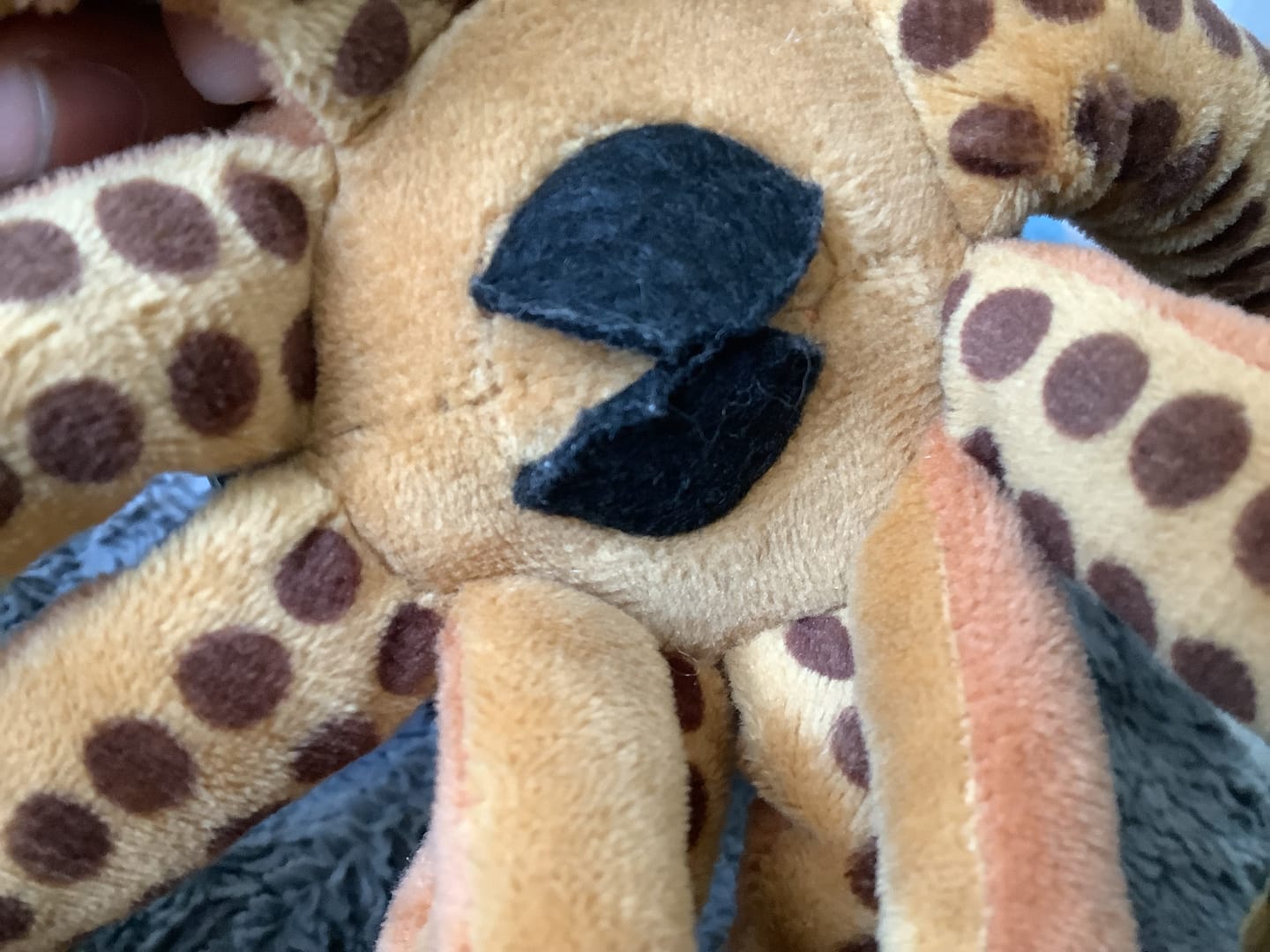 Customer photo review of Architeuthis Giant Squid Soft Stuffed Plush Toy