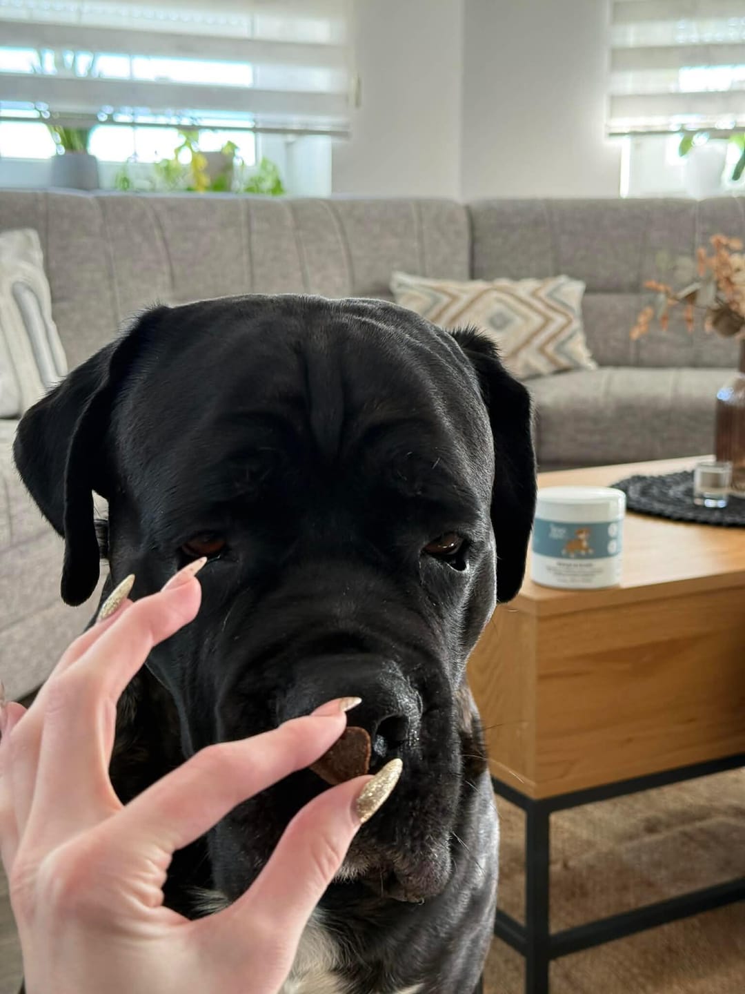 Customer photo review of Sklepi in kosti