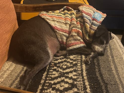 Customer photo review of Free & Easy Return or Exchange Coverage + Package Protection