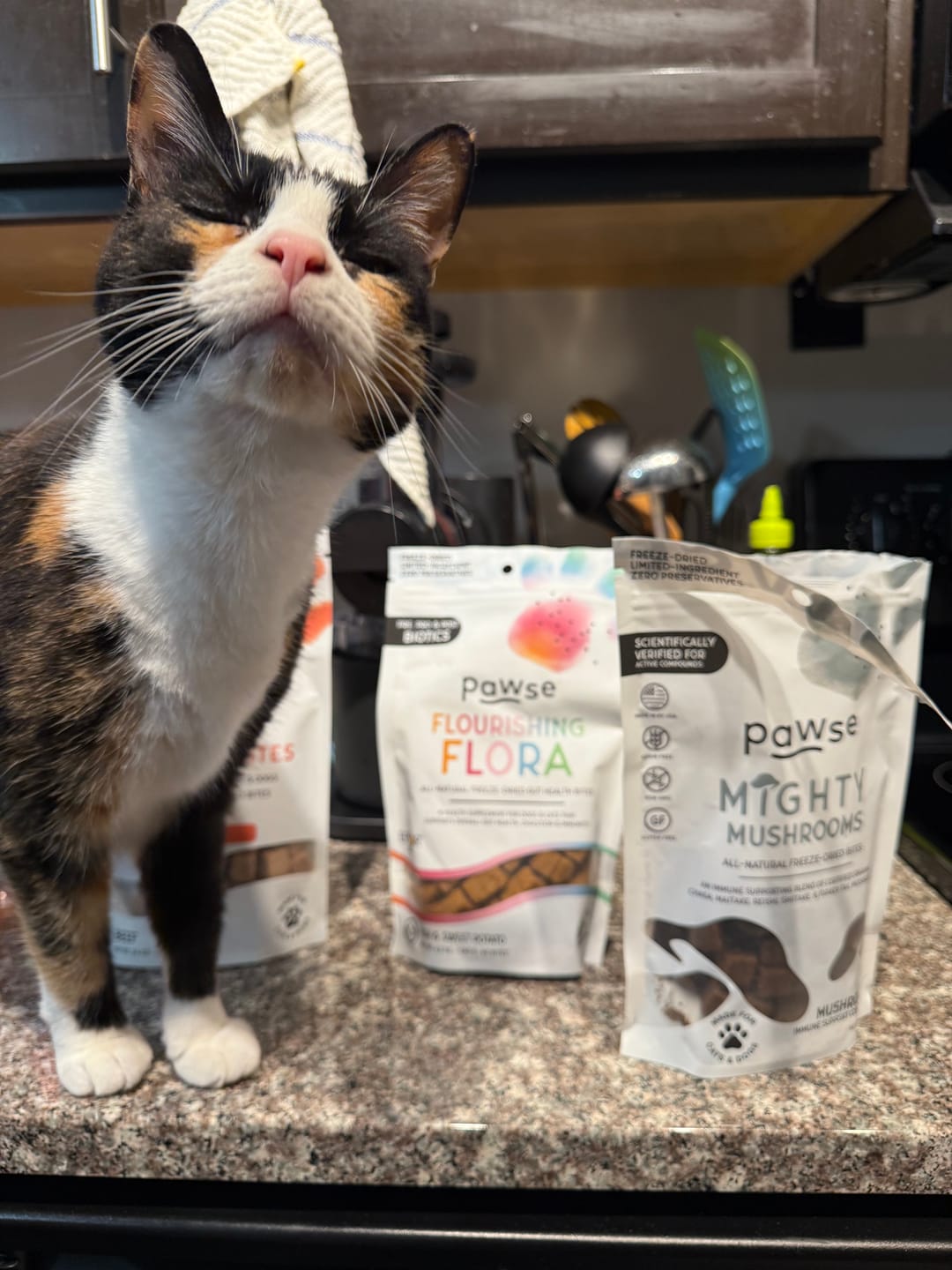 Customer photo review of Bark-Less Bites