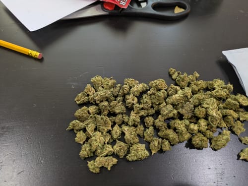 Customer photo review of Shipping Protection by Route