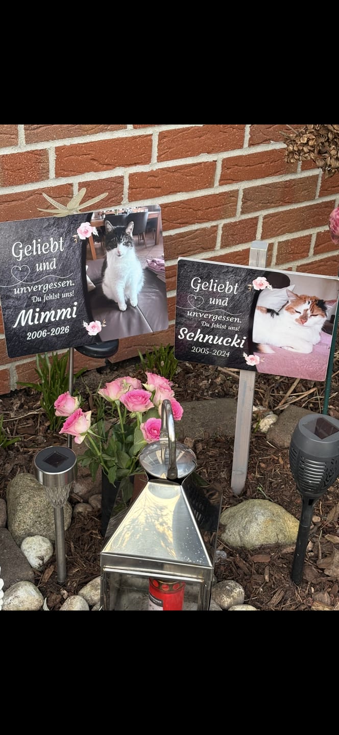 Customer photo review of Katzen Gedenktafel mit Foto & Spruch (UV- & Wetterfest)