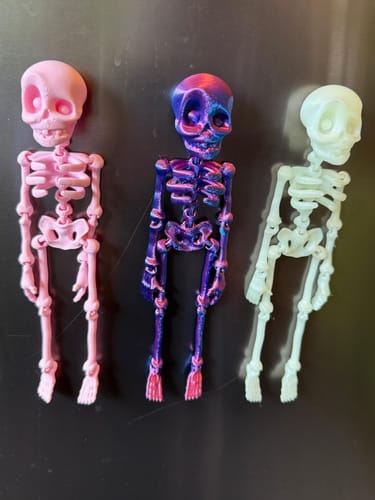 Customer photo review of Just Love Skulls Skeleton Fridge Magnet