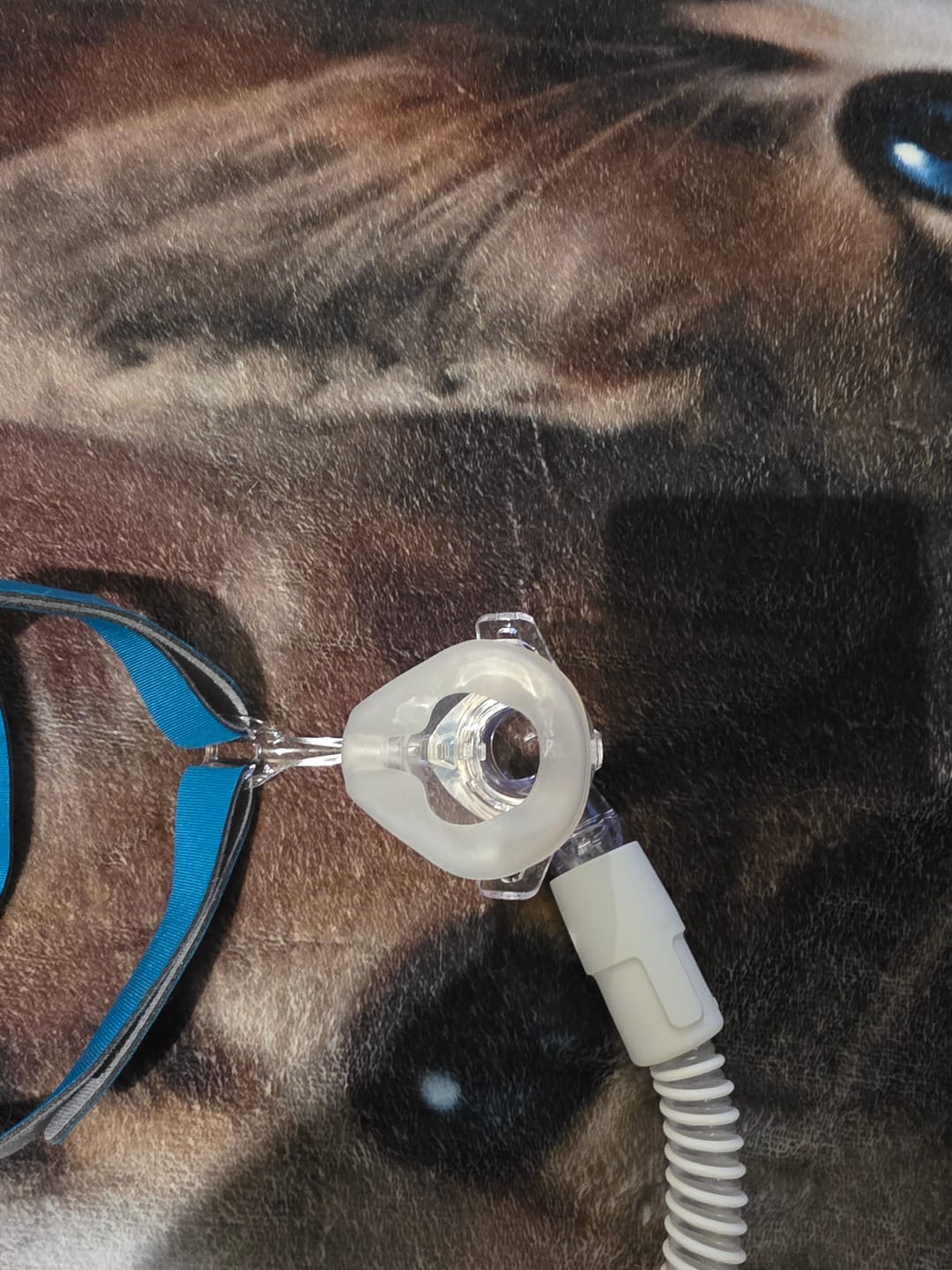 Customer photo review of CARA Nasal Mask Set