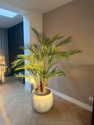 Customer photo review of Kunstpalm 180cm