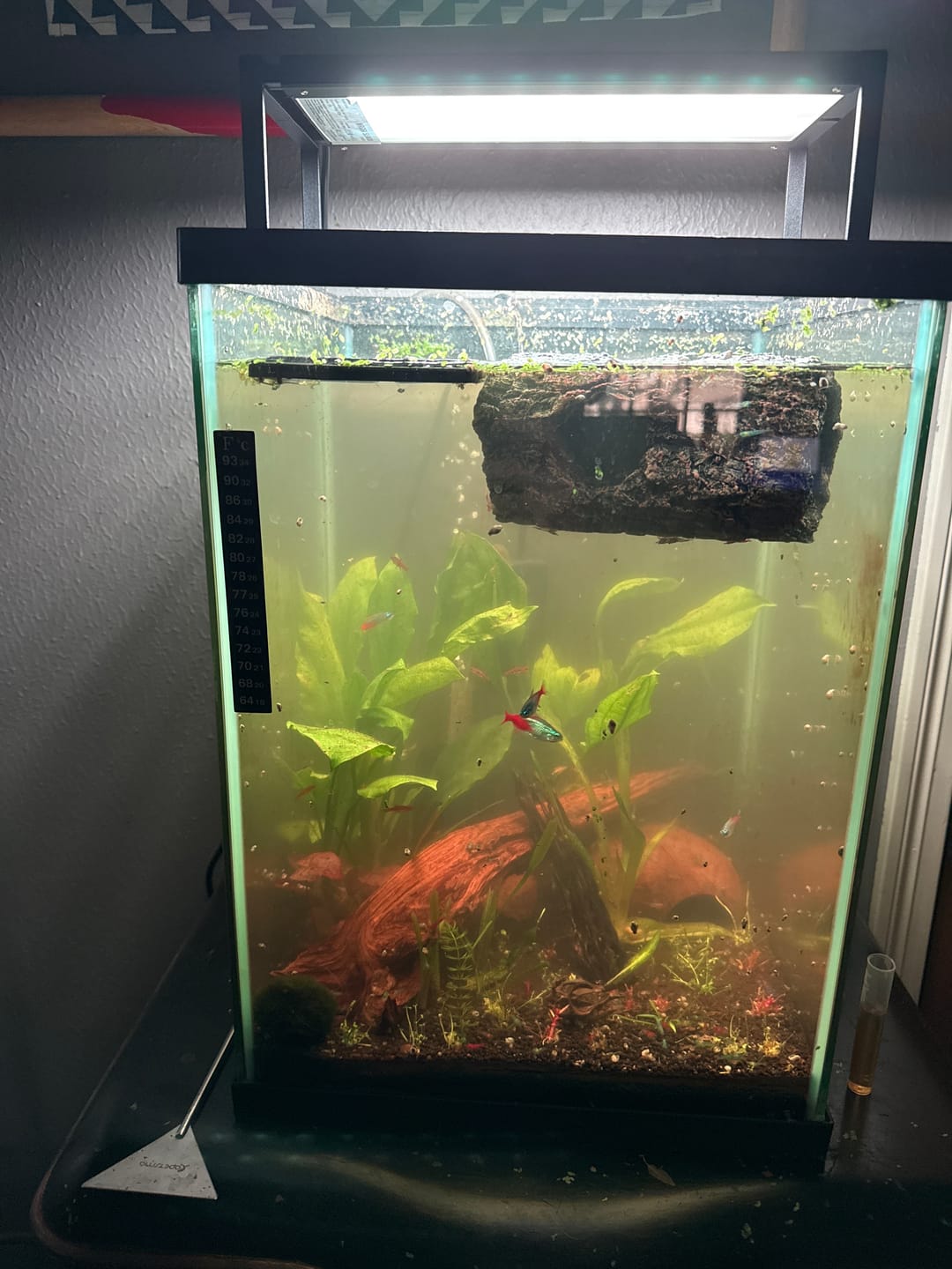 Customer photo review of Chihiros WRGB II Slim LED Light