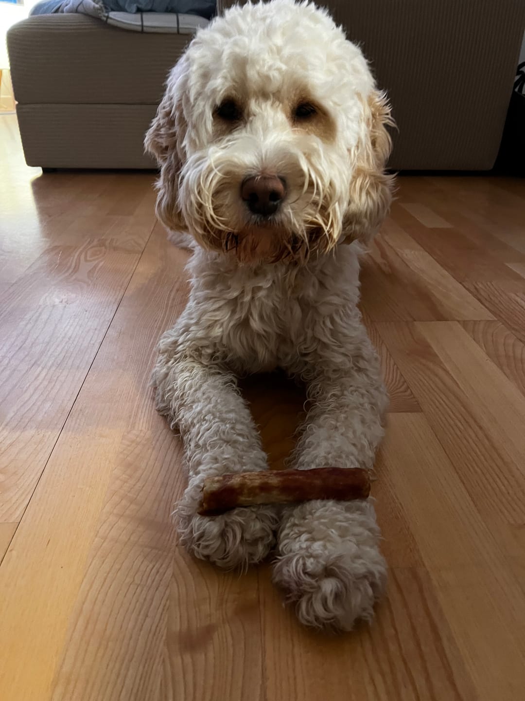 Customer photo review of Barkii - Kollagen Tyggeben m. And