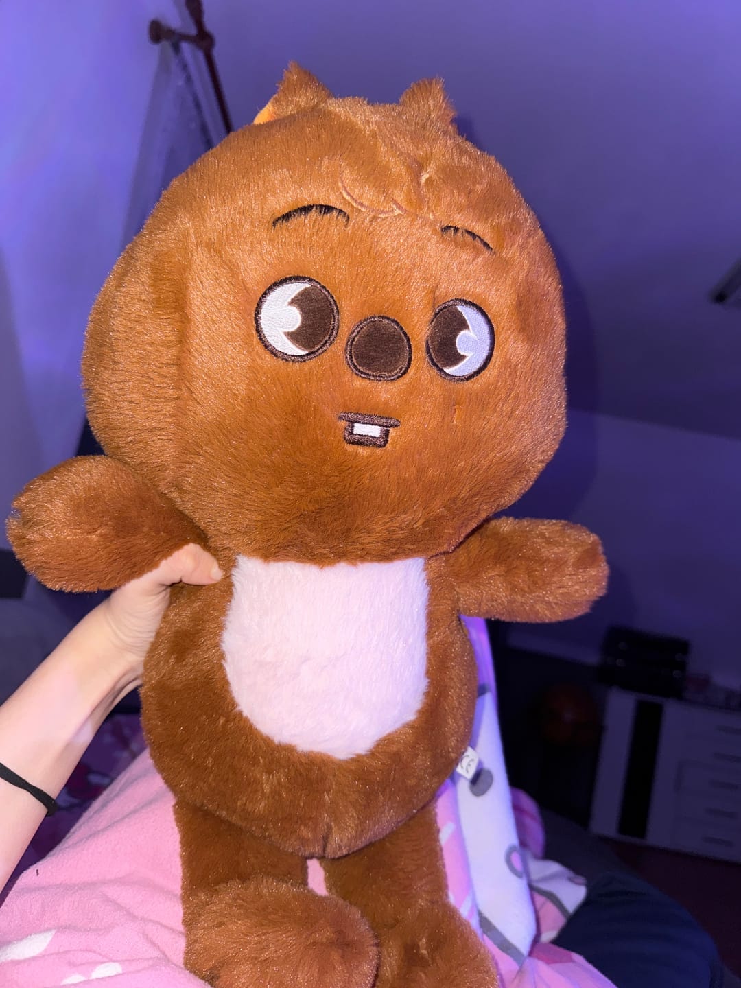 Customer photo review of SKZ Teddybear Plush