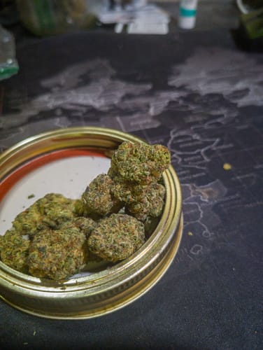 Customer photo review of Jack Candy THCA Flower