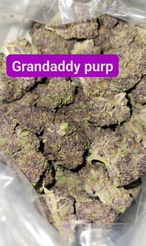 Customer photo review of Granddaddy Purple - Minis - 28 Grams - Indica