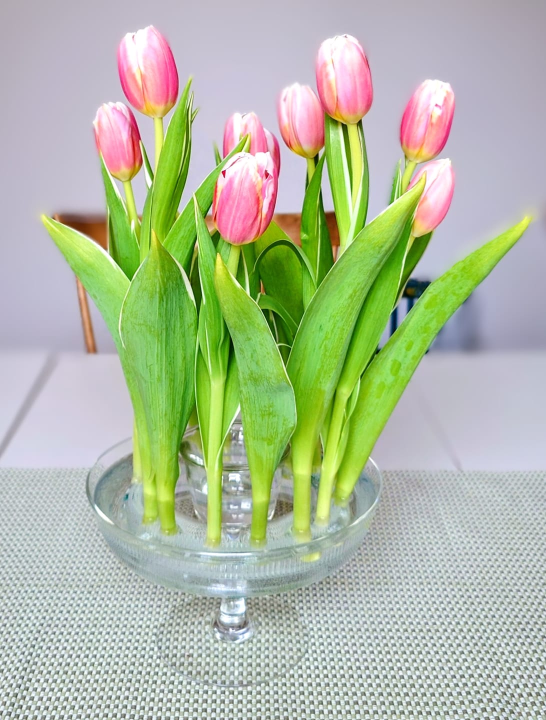 Customer photo review of Kenzan Ring 150 mm Acrylic Flower Frog