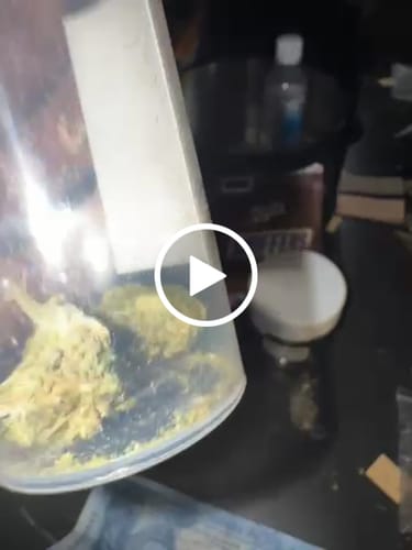 Customer video review of Bubble G - 26% THCA Flowers | Hybrid