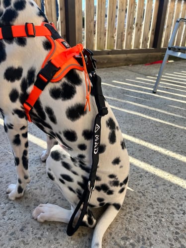 Customer photo review of Personalisation Fee €6.99