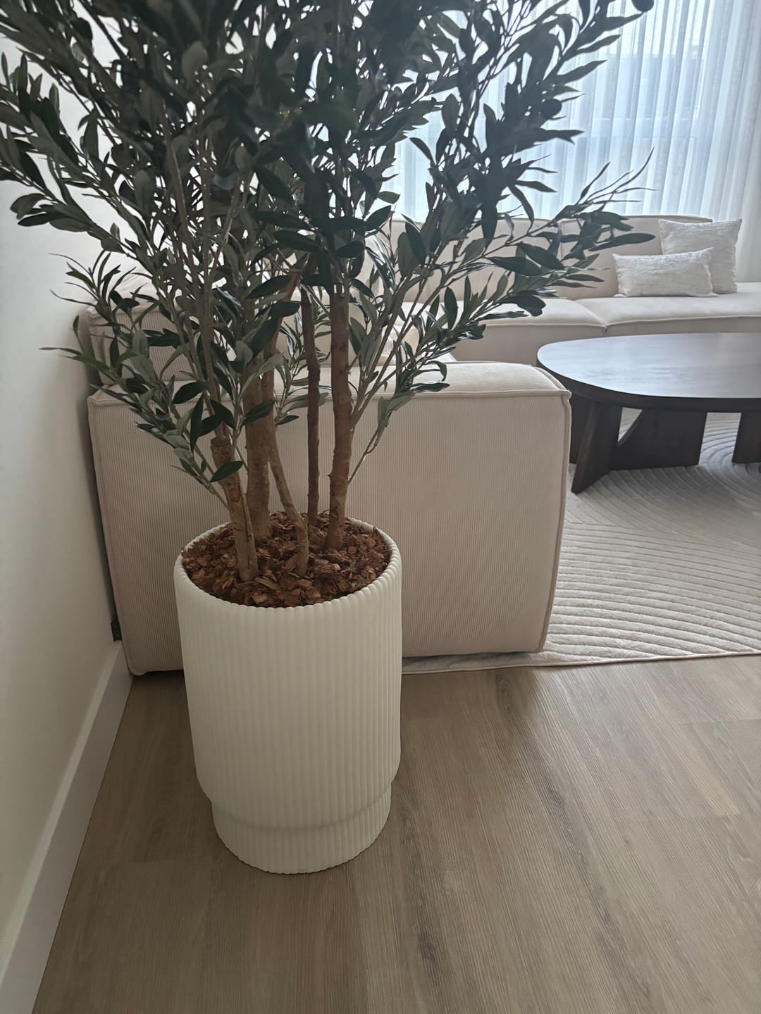 Customer photo review of Pre-Order Kunst Olijfboom 180cm (begin feb '26)