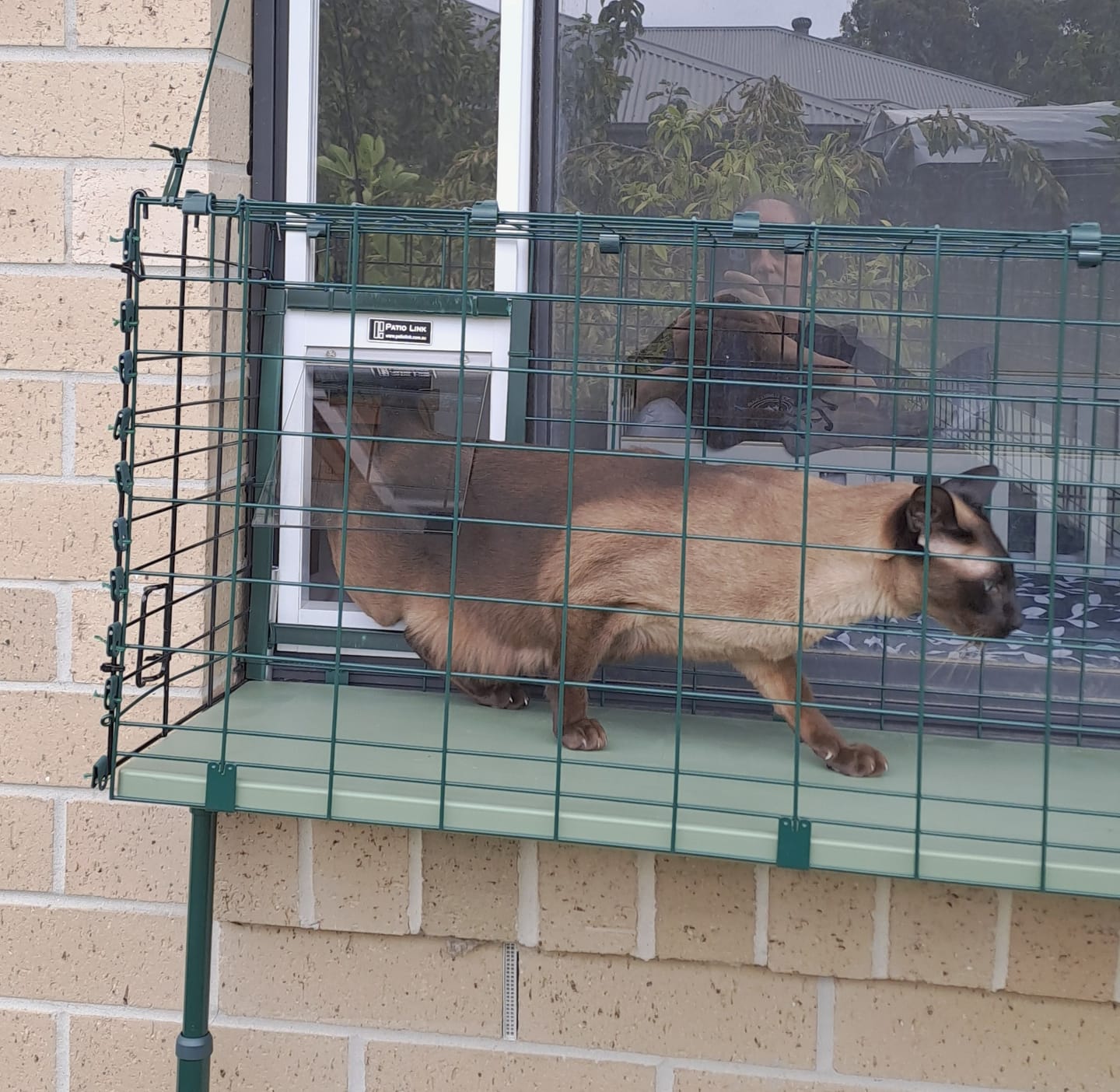 Customer photo review of Cat Door, Cat Window Insert