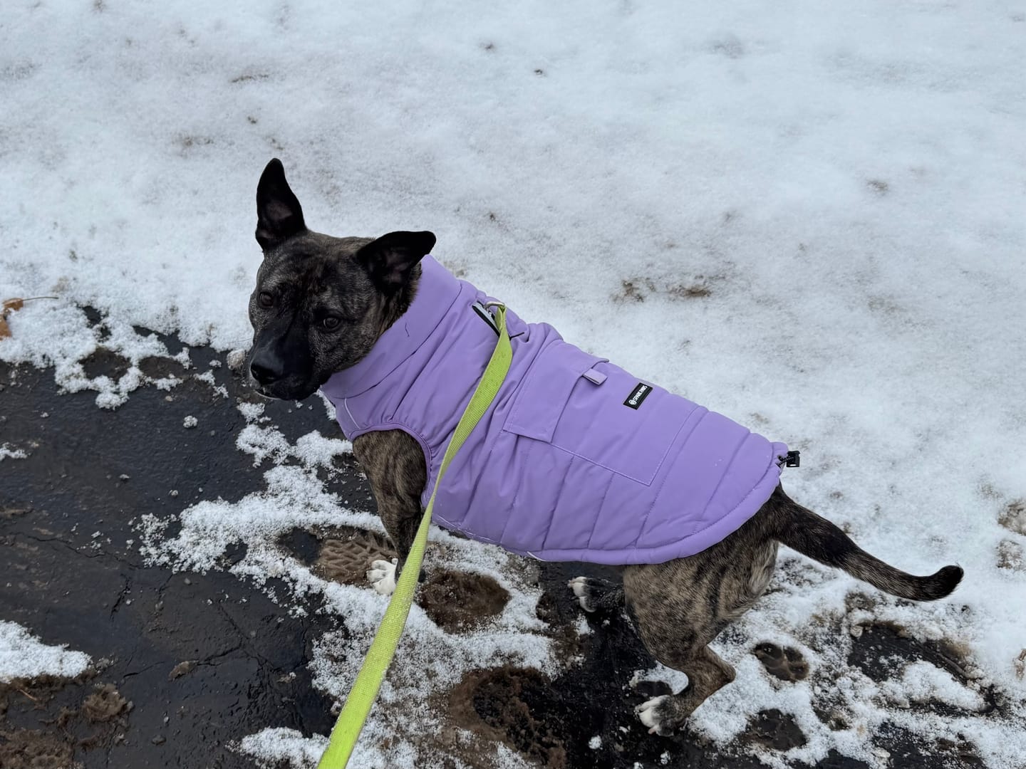 Customer photo review of WarmShield Water-Resistant Jacket - Lilac