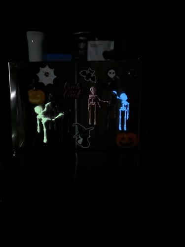 Customer photo review of Just Love Skulls Skeleton Fridge Magnet