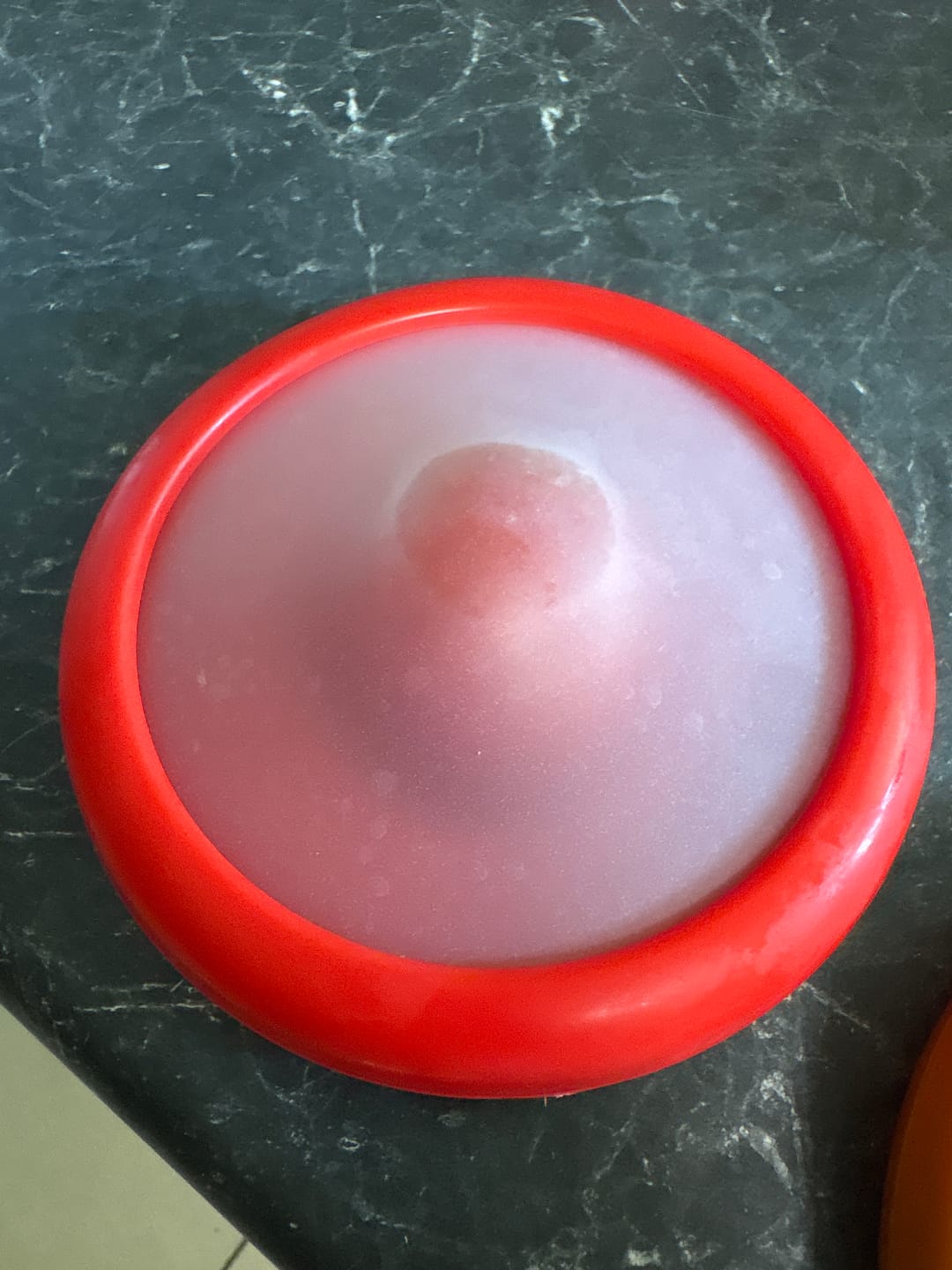 Customer photo review of The FreshPouch™ - (4 Pack)