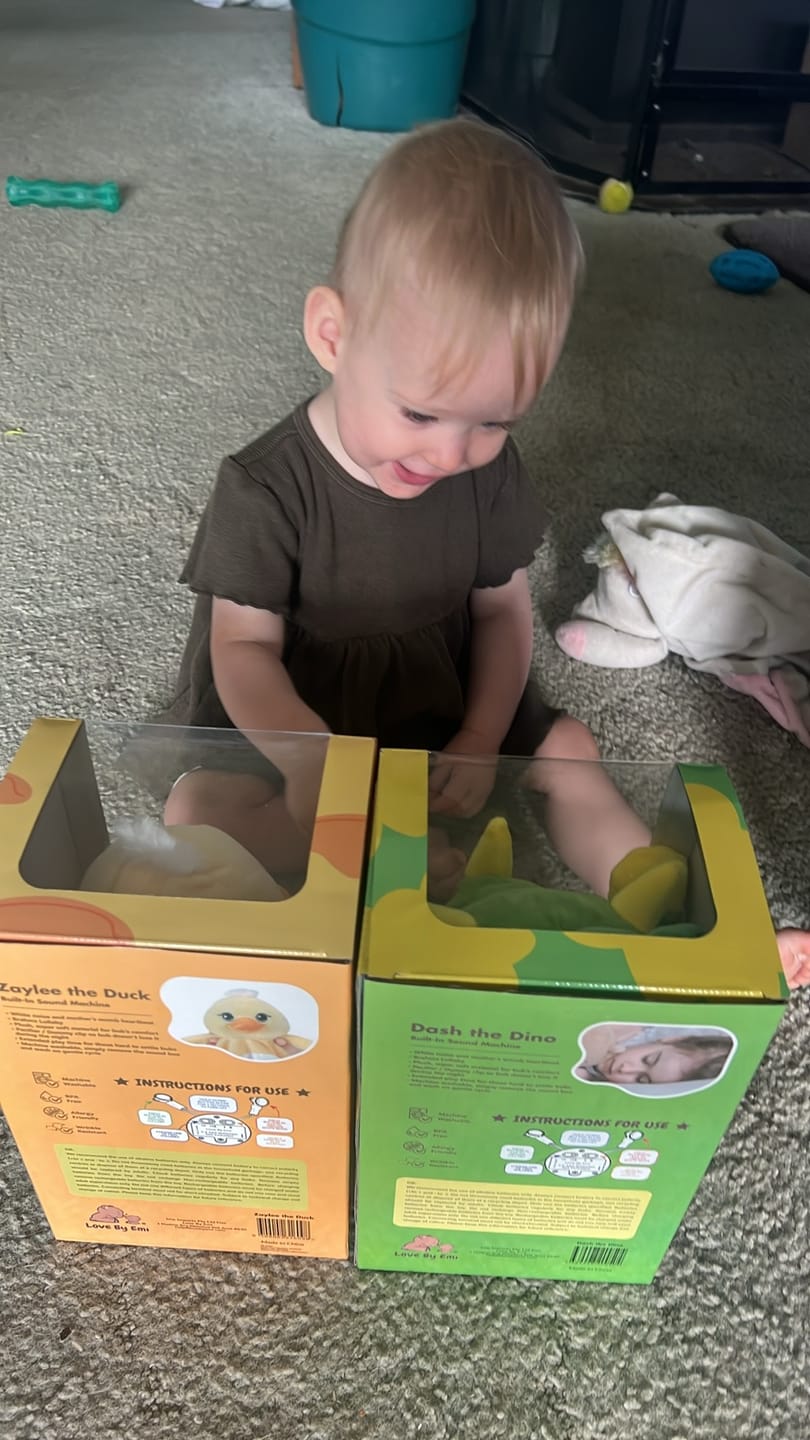 Customer photo review of Dash the Dinosaur
