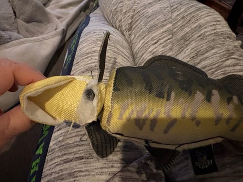 Customer photo review of Fly & Fetch Launching Toys