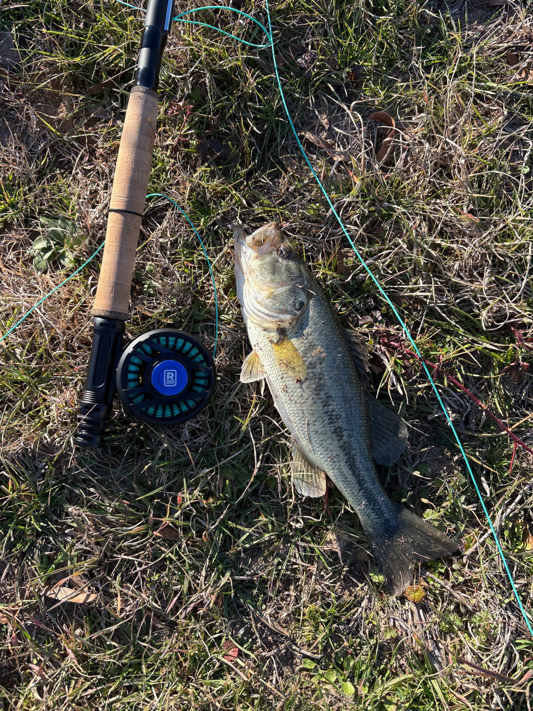 Customer photo review of FIRST CAST Classic 4wt / 9ft – Travel Fly Rod