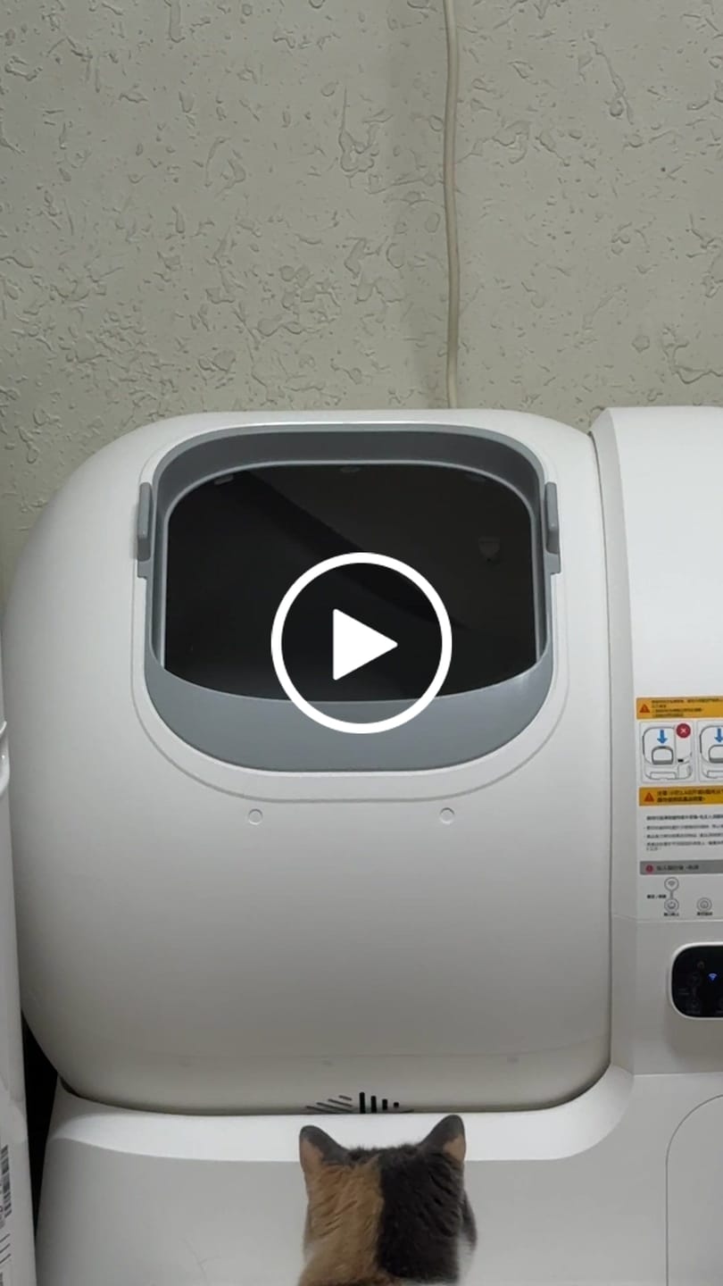 Customer video review of 霍曼自動貓砂機CS106